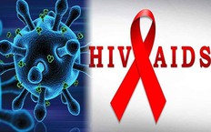Hội chứng chuyển hóa ở người nhiễm HIV: Thách thức mới trong kiểm soát sức khỏe