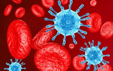 Th&#234;m bệnh nh&#226;n nhiễm HIV được chữa khỏi sau khi gh&#233;p tế b&#224;o gốc