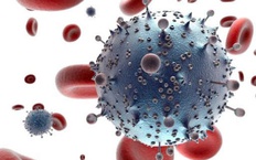 ‘Dấu ấn’ tiến hóa hé lộ khả năng kháng virus HIV ở người
