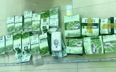 Khởi tố hơn 1.500 bị can, thu giữ khoảng 568 kg ma túy trong chuyên án truy xét VN10