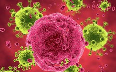 Đột phá mới trong điều trị khiến virus HIV ‘lộ diện’ bên trong các tế bào bạch cầu