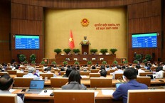 Hình sự hóa hành vi sử dụng trái phép chất ma túy