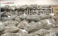Bộ Ngoại giao lên tiếng vụ Nhật Bản bắt 3 người Việt tàng trữ cần sa khô