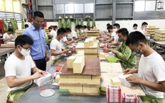 Phú Thọ: Tăng cường quản lý người nghiện, người sử dụng trái phép chất ma túy