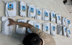 Công an Đà Nẵng phá vụ mua bán ma túy khủng, thu hàng trăm kg cỏ Mỹ