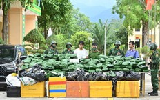 Thủ tướng Ch&#237;nh phủ gửi thư khen chiến c&#244;ng triệt ph&#225; c&#225;c đường d&#226;y ma t&#250;y lớn
