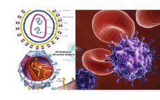 Phác đồ kép mở lối sống khỏe cho người đồng nhiễm HIV và viêm gan C