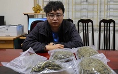 Phát hiện hơn 1kg cần sa trong đơn hàng giao qua xe ôm ở Hà Nội