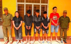 Bắt giữ đối tượng tổ chức cho người khác sử dụng ma túy