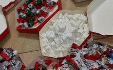 Bắc Ninh triệt phá, bắt giữ 259 vụ với 498 đối tượng ma túy trong đợt cao điểm