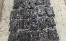 Đà Nẵng triệt phá đường ma túy ‘khủng’ ngụy trang cửa hàng kinh doanh quần áo