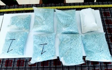 Đồng Nai tăng cường kiểm soát, ngăn chặn tội phạm ma túy ngay từ địa bàn cơ sở