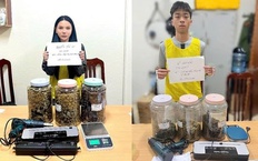 Công an Hà Nội bắt giữ 2 đối tượng mua bán hơn 3,5kg cần sa