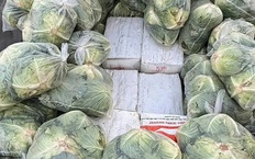 Thái Lan triệt phá vụ vận chuyển 1,6 tấn ma túy đội lốt bắp cải