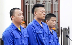 Vận chuyển hơn 74kg ma túy, 3 bị cáo lĩnh án tù chung thân