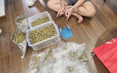 Liên tiếp bắt giữ các đối tượng mua bán gần 10kg cần sa tại Hà Nội