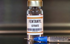 Bộ Y tế kiểm soát thuốc chứa fentanyl trước diễn biến phức tạp của tội phạm ma túy