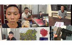 Ninh Bình triệt phá 612 vụ, bắt giữ hơn 1.250 đối tượng ma túy
