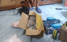 Khởi tố 2 bị can mua bán trái phép chất ma túy dạng Tobacco