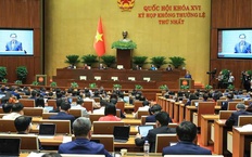 Đề xuất cấm kinh doanh ‘bóng cười’ (N2O) ngoài mục đích y tế