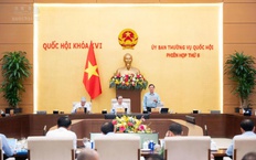 Lý giải việc đề xuất bỏ tử hình với tội mua bán trái phép chất ma túy, hiếp dâm người dưới 16 tuổi