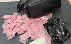 Triệt phá đường dây ma túy, bắt giữ 740 người, thu hơn 103kg ma túy