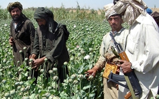 Taliban liệu c&#243; thể x&#243;a bỏ “nền kinh tế thuốc phiện” ở Afghanistan?