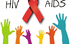 Viet Nam reports 12,000 new HIV cases every year