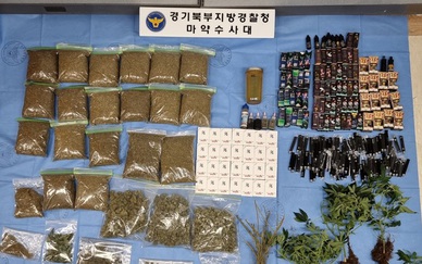 Hàn Quốc lập nhóm điều tra đặc biệt về tội phạm ma túy