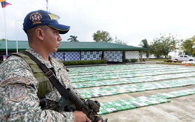 Báo động sản lượng cocaine của Colombia ở mức cao kỷ lục