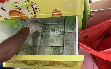 Tây Ninh: Tăng cường phòng ngừa tội phạm khu vực biên giới