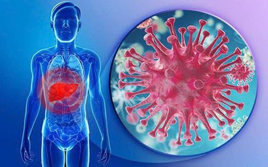 Phấn đấu 80% tỉ lệ người bệnh HIV được làm xét nghiệm sàng lọc viêm gan virus C