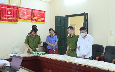 Phú Thọ truy tố 73 bị can trong đường dây ma túy xuyên quốc gia quy mô lớn