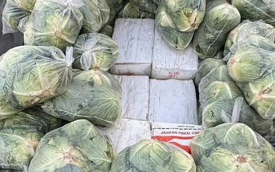 Thái Lan triệt phá vụ vận chuyển 1,6 tấn ma túy đội lốt bắp cải