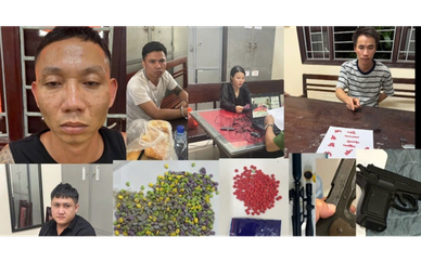 Ninh Bình triệt phá 612 vụ, bắt giữ hơn 1.250 đối tượng ma túy