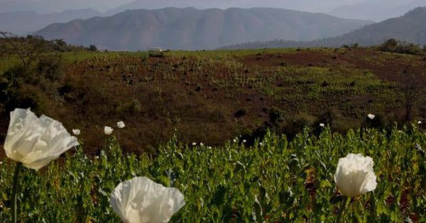 tiengchuong.chinhphu.vn