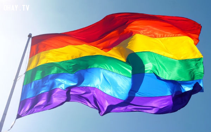 Ngày thế giới chống phân biệt đối xử, kỳ thị với cộng đồng LGBT