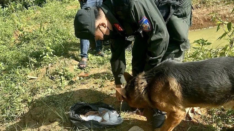 Cảnh khuyển giúp công an tìm thấy 2,5 kg ma túy các nghi phạm cất giấu