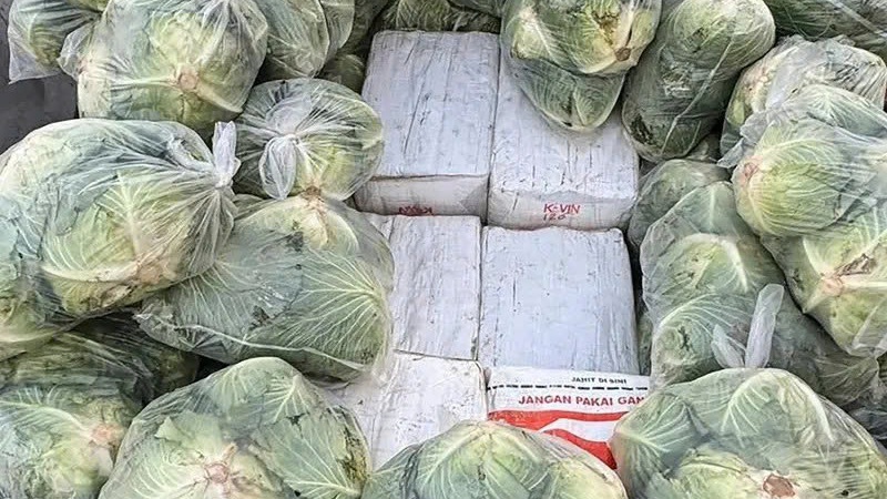 Thái Lan triệt phá vụ vận chuyển 1,6 tấn ma túy đội lốt bắp cải