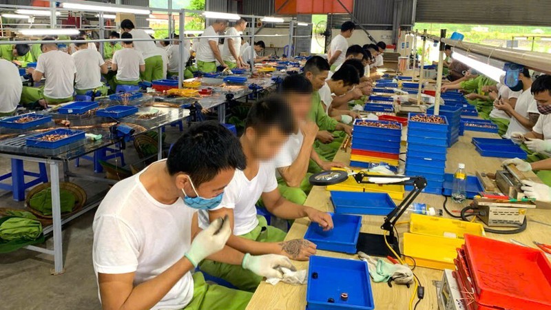 Tạo sinh kế, mở đường trở về cho người sau cai nghiện ma túy